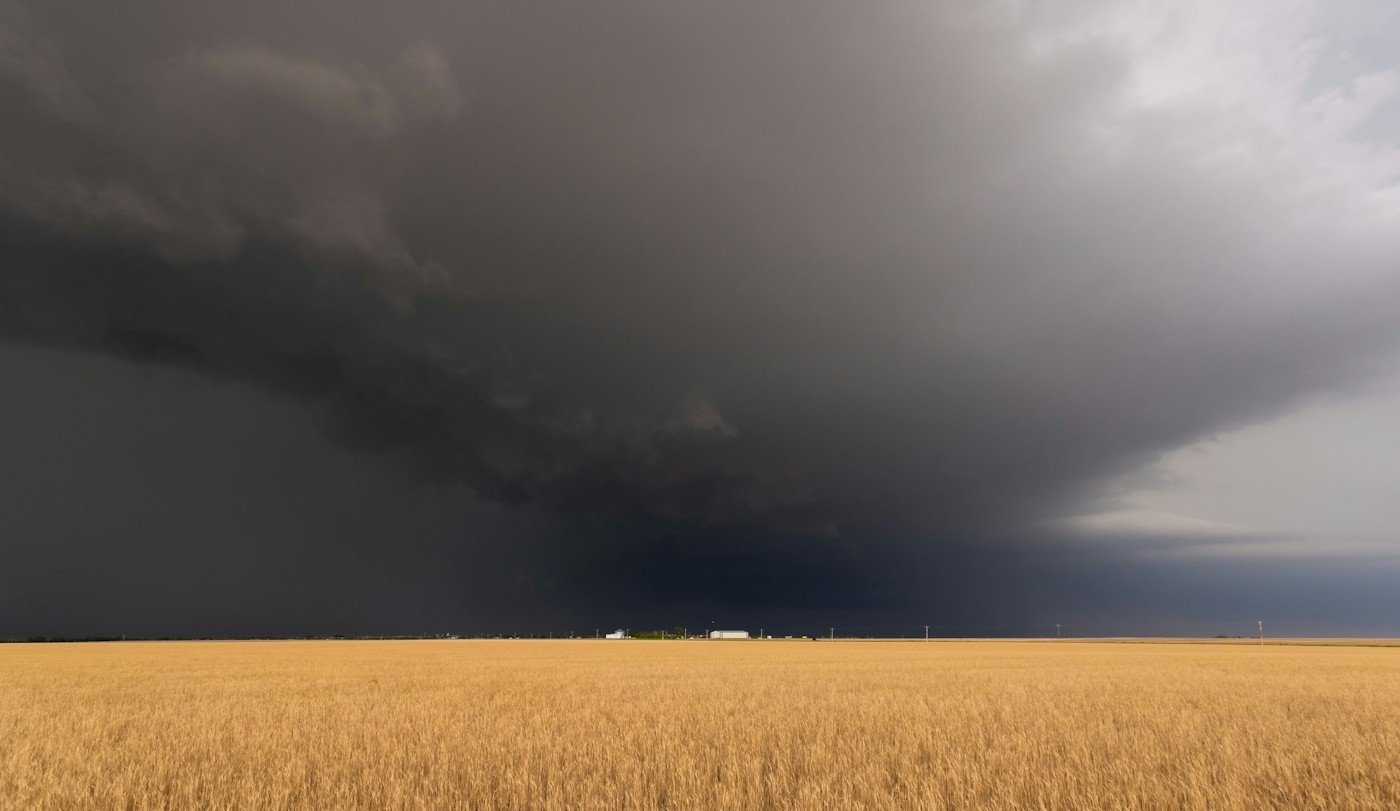 A dark storm shelf over a golden wheat field